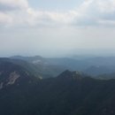 계룡산한의원 이미지