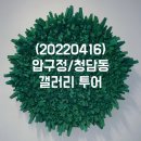 청담동마눌님