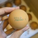 양촌농원 1농장 이미지