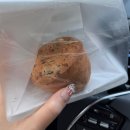 소이안한의원 | 11月(3): 빛을 가득 머금어 네게 더 반짝일래