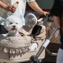 OK동물병원 이미지