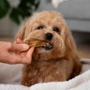 행신동물병원 이미지