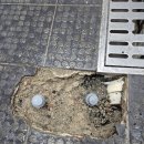 비비큐 부산연산파크시티 이미지