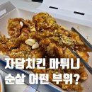 자담치킨 도화제일점 | 자담치킨 마튀니 무슨 맛일까? 자담 순살 부위 정보