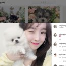 메트로팰리스2차A 이미지