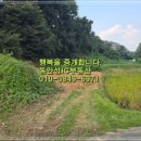 동안성IC공인중개사사무소 이미지