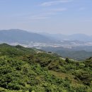 콩각시 농원 이미지