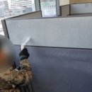 그린죤