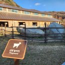 세이지우드 홍천산양목장 이미지