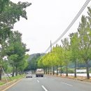 화원2리마을회관 이미지