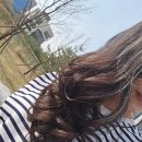 LS어린이집 | 내 돈 내산 도산 마실 로잔 펌 후기 ( feat. 곰손 똥 손 모여라....)