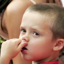 브룩클린 이미지