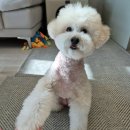 르네펫살롱 이미지