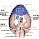 링크동물의료센터 이미지