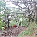 육모정허브찜질방 이미지