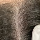 크레센트421 이미지