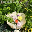 호랭이꽃집 - 성동구 아차산로 18 | 호랭이꽃집