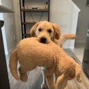 궁전파크 이미지