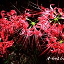 아곡농장 이미지