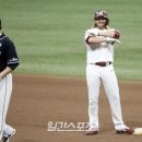 모터돔