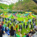 내원정사유치원 이미지