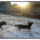 갤러리윤 이미지