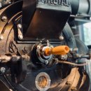 향기나무 이미지