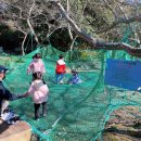 돌하르방미술관 이미지