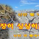 아주-0048 이미지