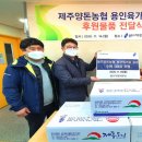 용인양돈 이미지