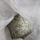 채릇채릇 이미지