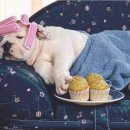 오뉴월 개팔자 이미지