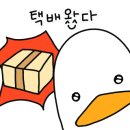 겟리얼마켓