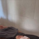 테오르헤어 이미지