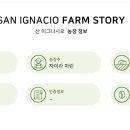 디코드커피