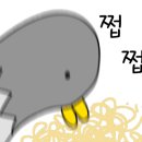 카페삼삼구 네이버블로그