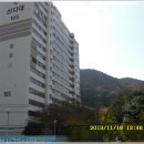 도원정형외과의원 Daum카페