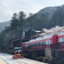 침곡리 입구 이미지