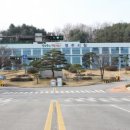 성누가약국 네이버블로그