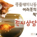 팔복이PC 이미지