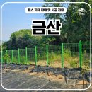 금산당 | 금산휀스 펜스 - &#34;밭작물 다 뜯긴 이유? 울타리 하나로 해결 본 금산펜스 시공 후기!&#34; 🌽