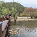 봉암약국 이미지