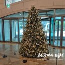 스마트교육 | 노란우산 경영교육 후기 스마트폰으로 유튜브 마케팅 마스터 되기