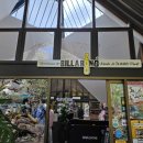 (주)포트 | 호주 포트매쿼리 동물원 추천, 빌라봉 주 코알라 와일드라이프 공원 체험 후기