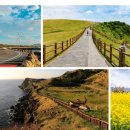 서귀중앙초등학교 이미지