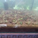 신용 아쿠아 수족관 이미지