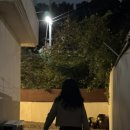 샾 펜션 | 샾 브라이덜샤워 💍💐