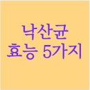 낙산균 효능 5가지 이미지