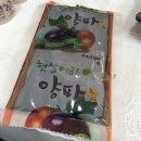 양파살롱 이미지