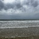 준원농장 이미지